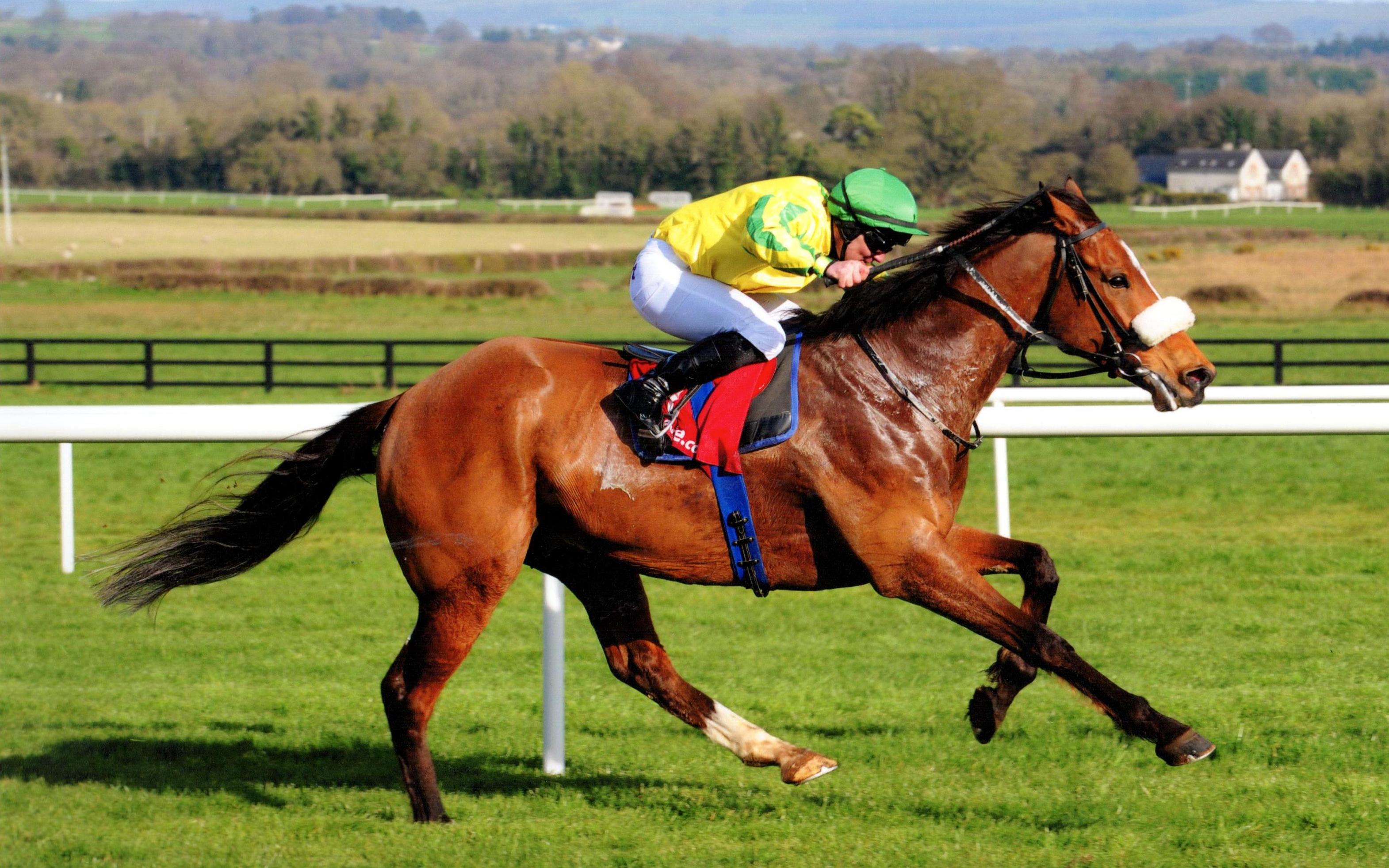 BRENDAN BRACKAN lands The Tote Irish Lincolnshire at Naas 26th March 2017